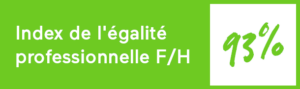 Index de l’égalité professionnelle entre les femmes et les hommes (indicateur officiel)